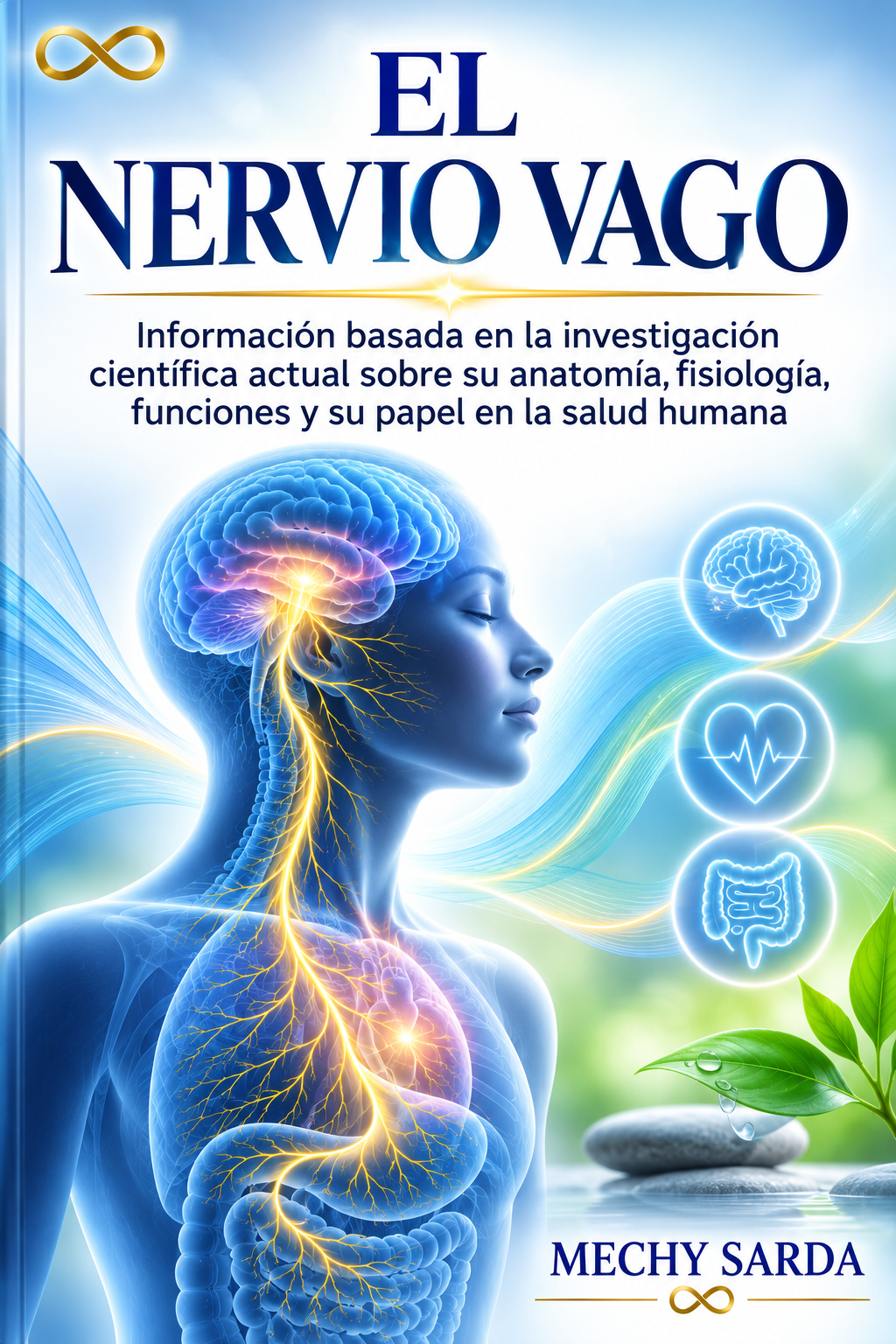 el nervio vago